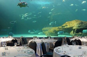 Two Ocean Aquarium conference venue