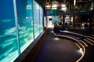 Two Ocean Aquarium conference room