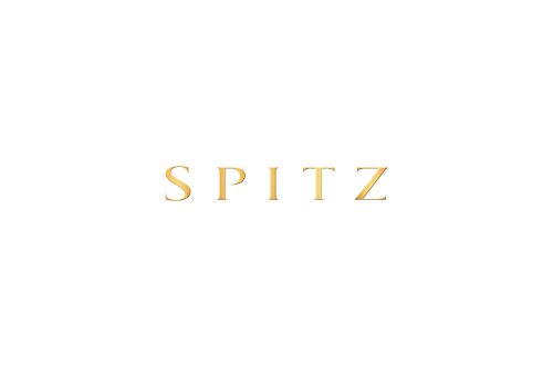 spitz lacoste ladies sneakers
