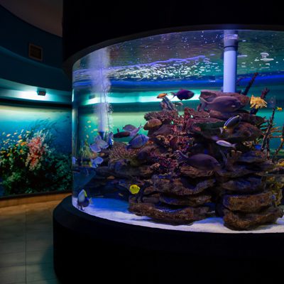 Two Oceans Aquarium