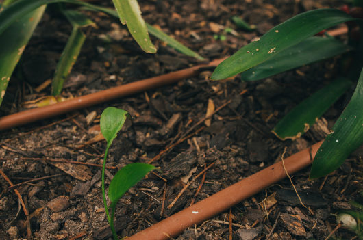Water Saving Achievements