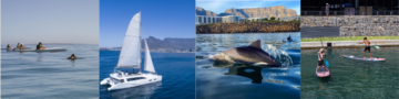 Explore the ocean at the V&A Waterfront this summer