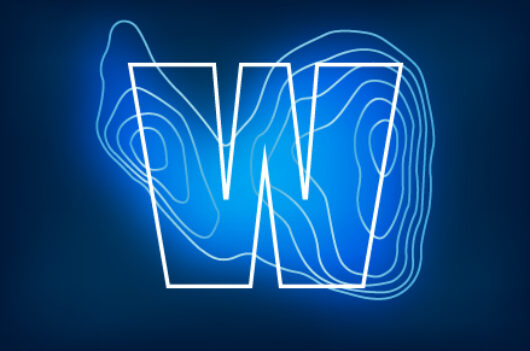 https://www.waterfront.co.za/wp-content/uploads/2023/11/Letter-W-530x351.jpg