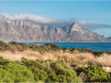 //www.waterfront.co.za/wp-content/uploads/2024/12/hout-bay.jpg