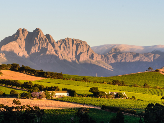 //www.waterfront.co.za/wp-content/uploads/2024/12/stellenbosch.jpg