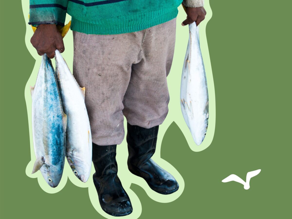 https://www.waterfront.co.za/wp-content/uploads/2025/08/Neighbourfood_web-assets_Sustainable-seafood-1-scaled-1200x900-1-1200x900.jpg